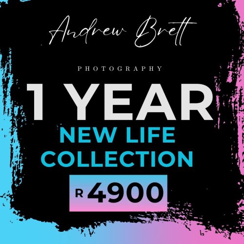 The New Life Collection